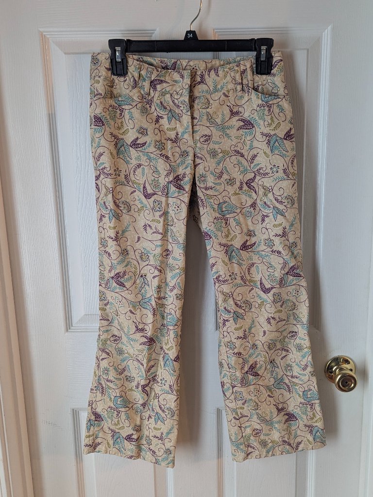 Express Multicolored Pants -2